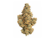 Big Smooth FLOWER - INDICA (1/8 for $25 & 1/4 for $45!) *Zero Gravity Extracts
