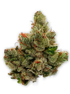 Biscotti Cream FLOWER - INDICA (1/8 for $25 & 1/4 for $45!) *Zero Gravity Extracts