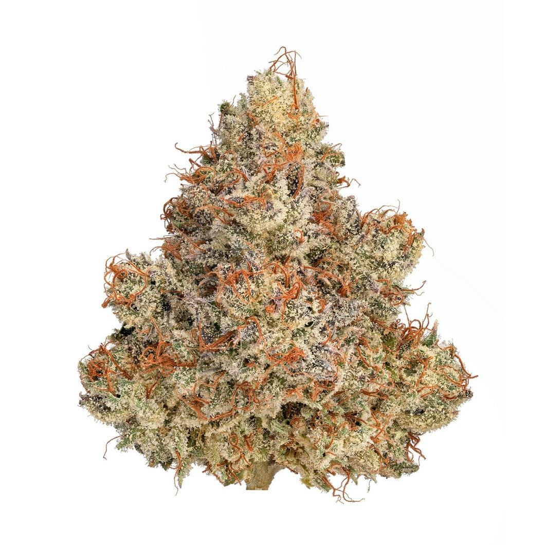 Cherry Ghostenade FLOWER - INDICA (1/8 for $25 & 1/4 for $45!) *Zero Gravity Extracts