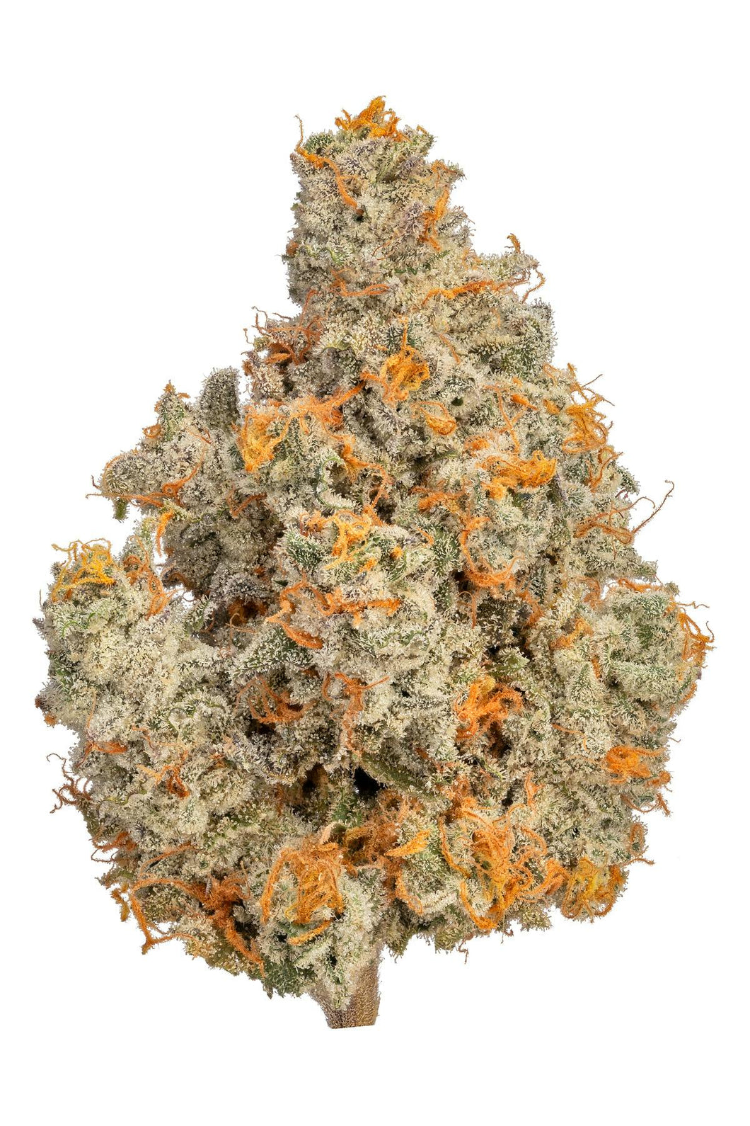 Fruit Loops OG - INDICA (1/8 for $25 & 1/4 for $45!) *Zero Gravity Extracts