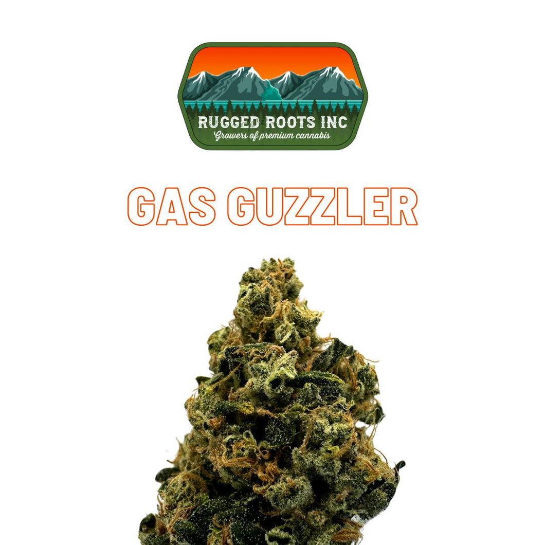 Gas Guzzler FLOWER - INDICA (1/8 for $25 & 1/4 for $45!) *Rugged Roots