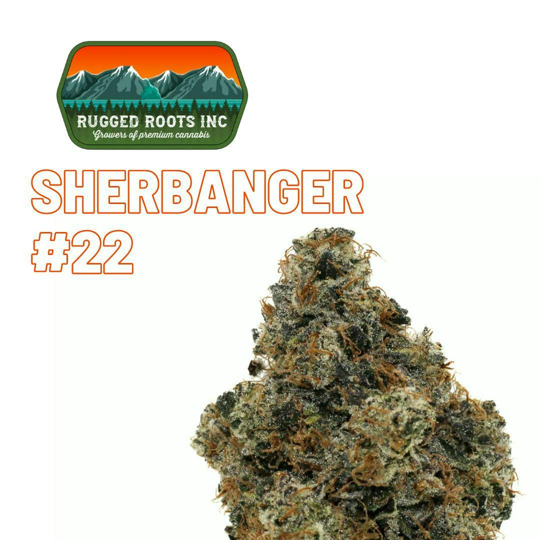 Sherbanger #22 FLOWER - INDICA (1/8 for $25 & 1/4 for $45!) *Rugged Roots