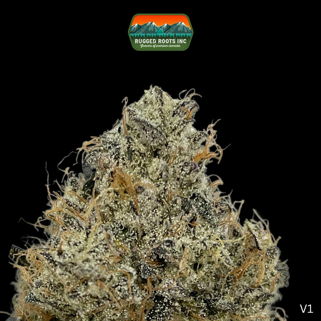 Edo G FLOWER - SATIVA/HYBRID (1/8 for $25 & 1/4 for $45!) *Rugged Roots