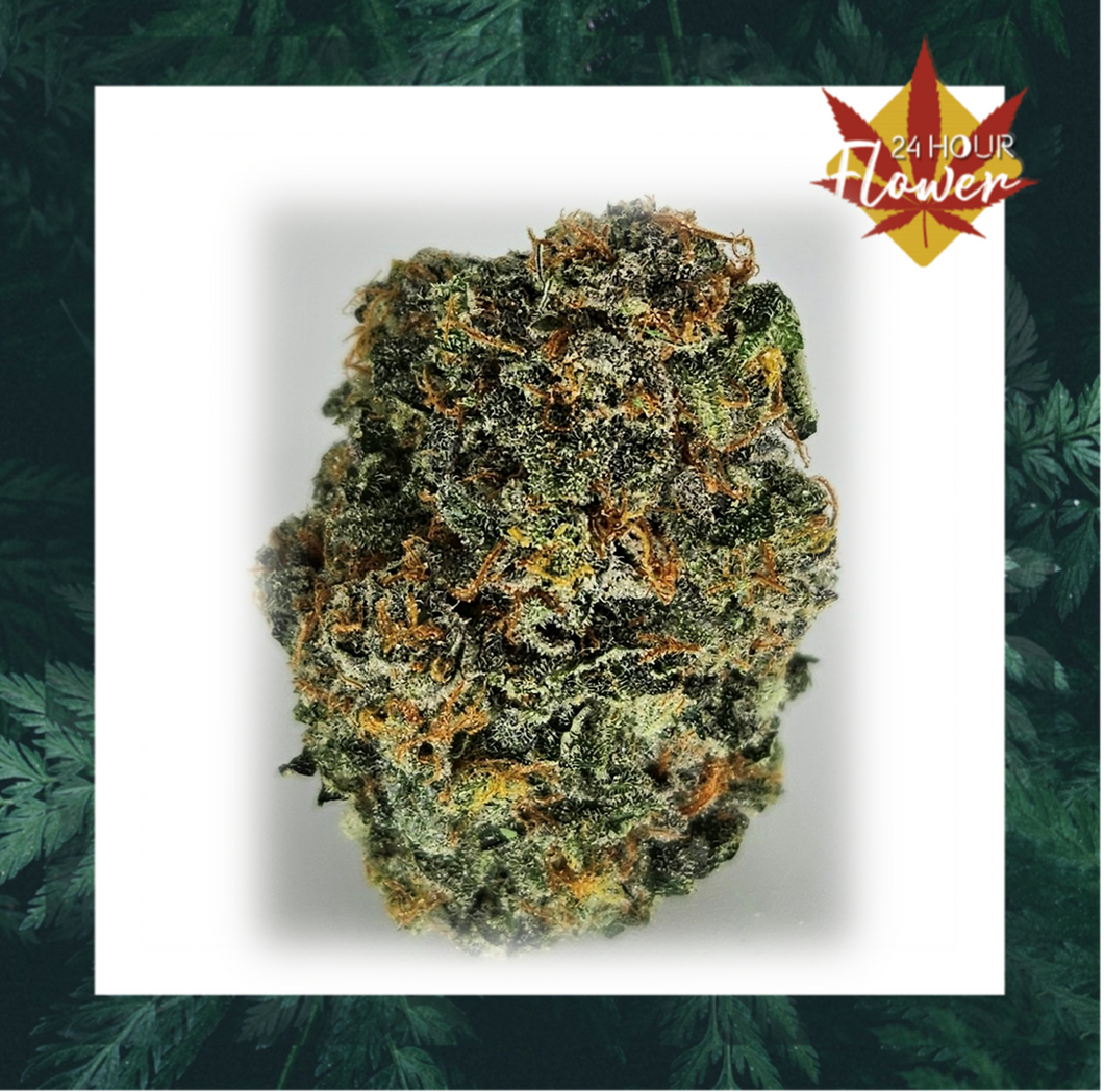 Triangle Kush FLOWER - INDICA *Holistic Wellness (1/8 for $25 & 1/4 for $45!)