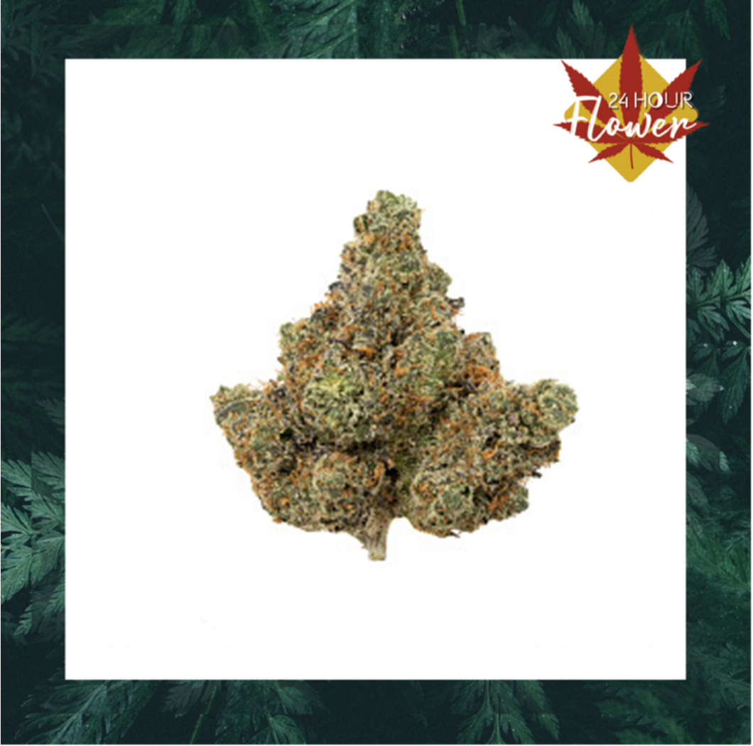Rainbow Mints FLOWER - INDICA (1/8 for $25 & 1/4 for $45!) *Holistic Wellness