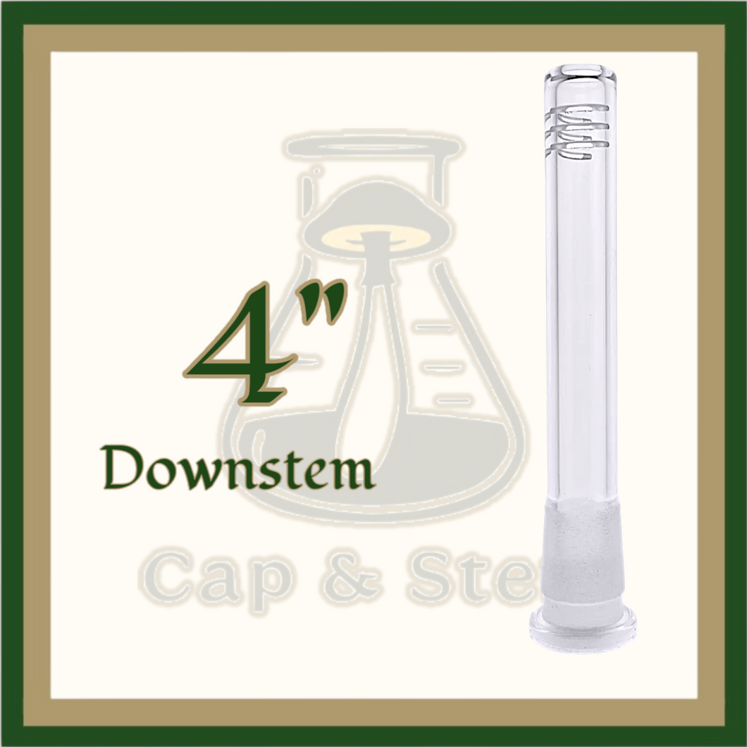 DOWNSTEM - 4