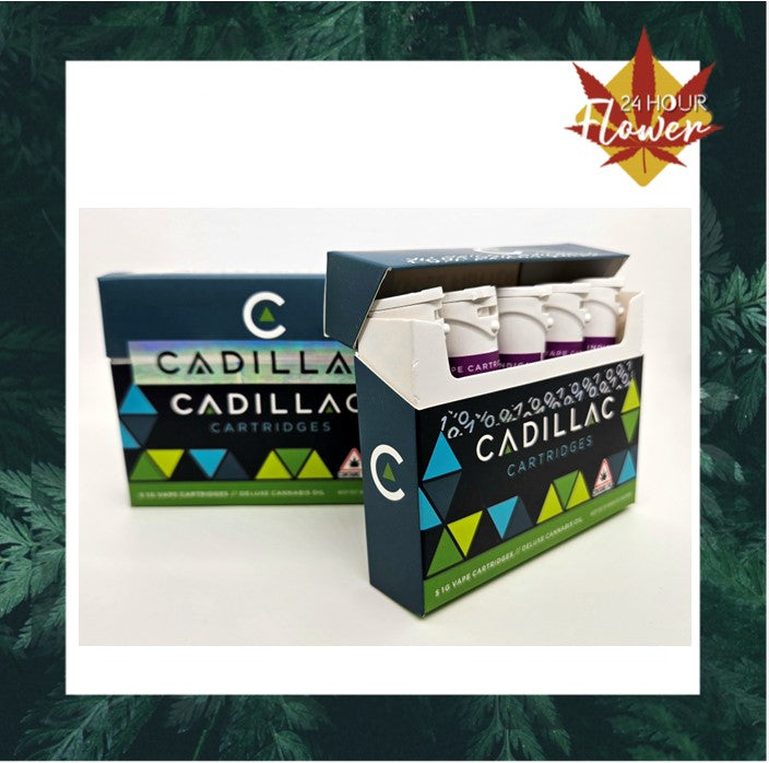 5 PACK Cadillac 1G Distillate Cartridge - Apple Fritter (Indica)