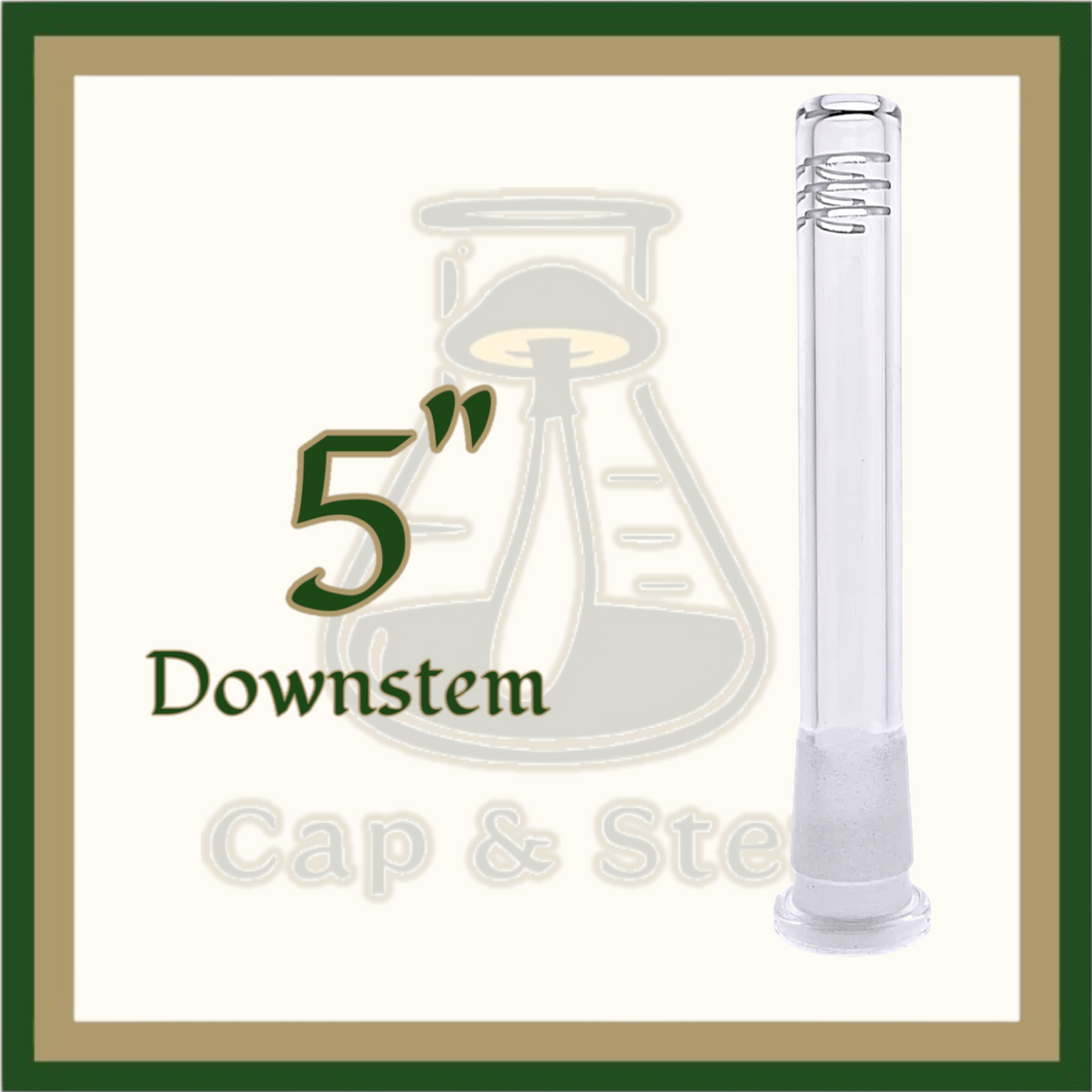 DOWNSTEM - 5