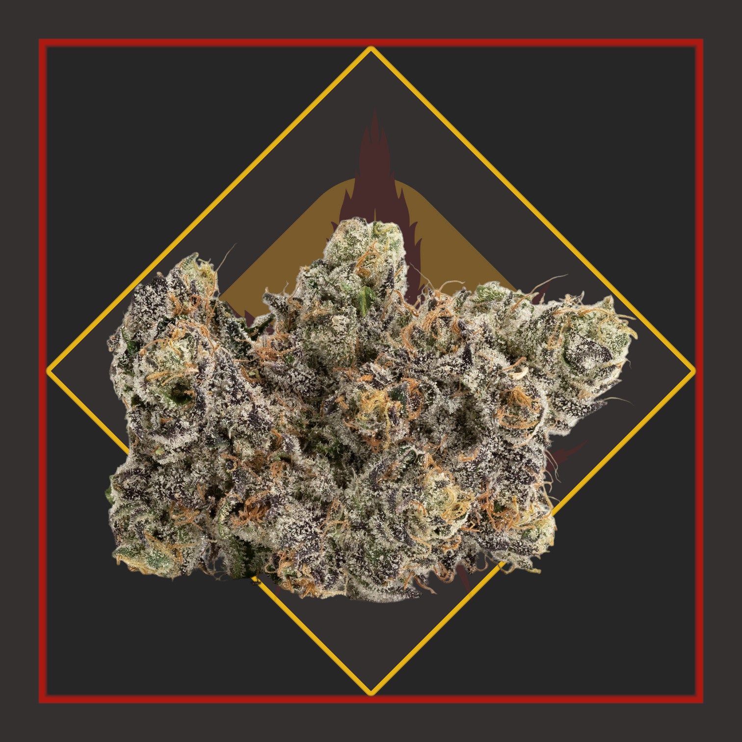 Flower - 1/8 for $25 & 1/4 for $45 - Red Runtz - INDICA *Zero Gravity Cannabis