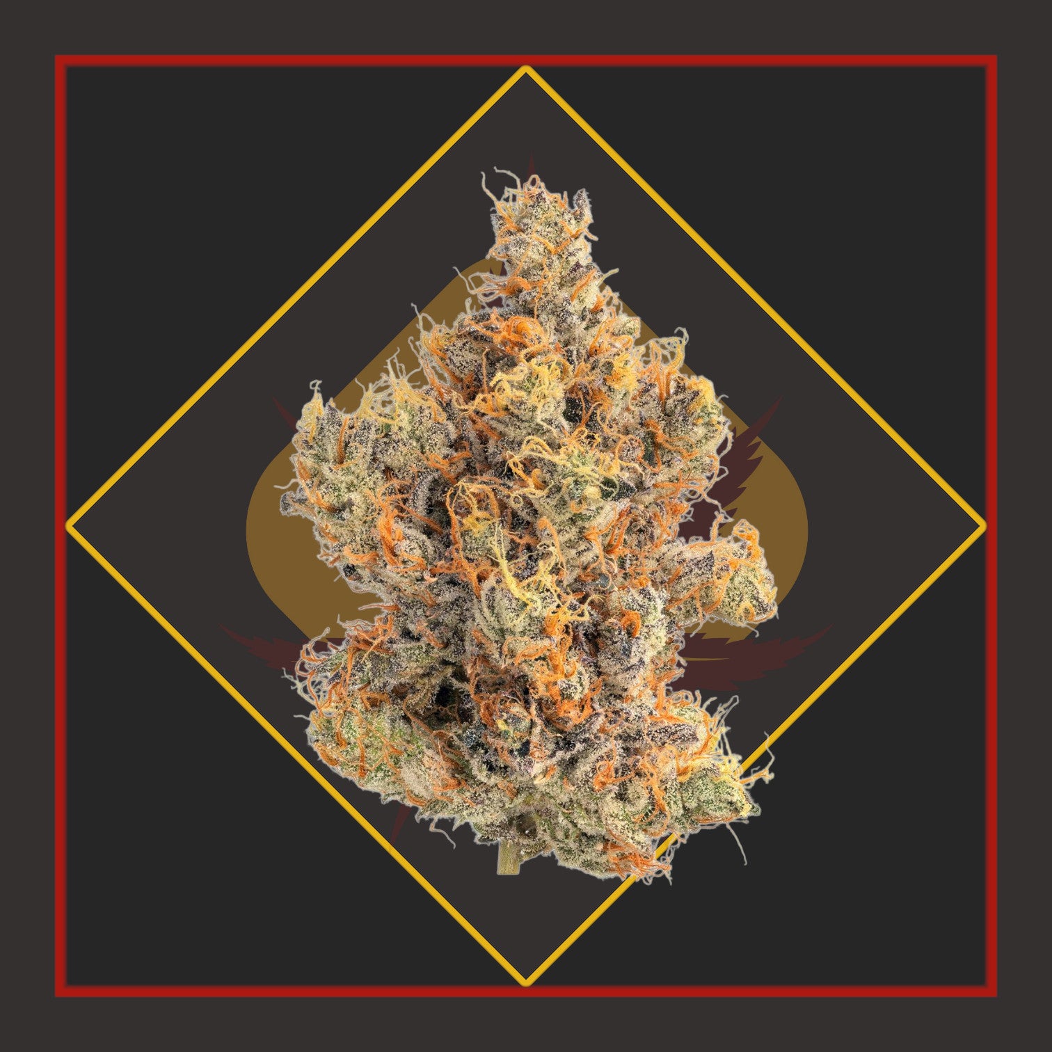 Flower - 1/8 for $25 & 1/4 for $45! - Blue Candy - I/HYBRID *Cadillac Cannabis