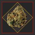 Flower - 1/8 for $25 & 1/4 for $45! - Cosmic Punch - HYBRID *Zero Gravity Extracts