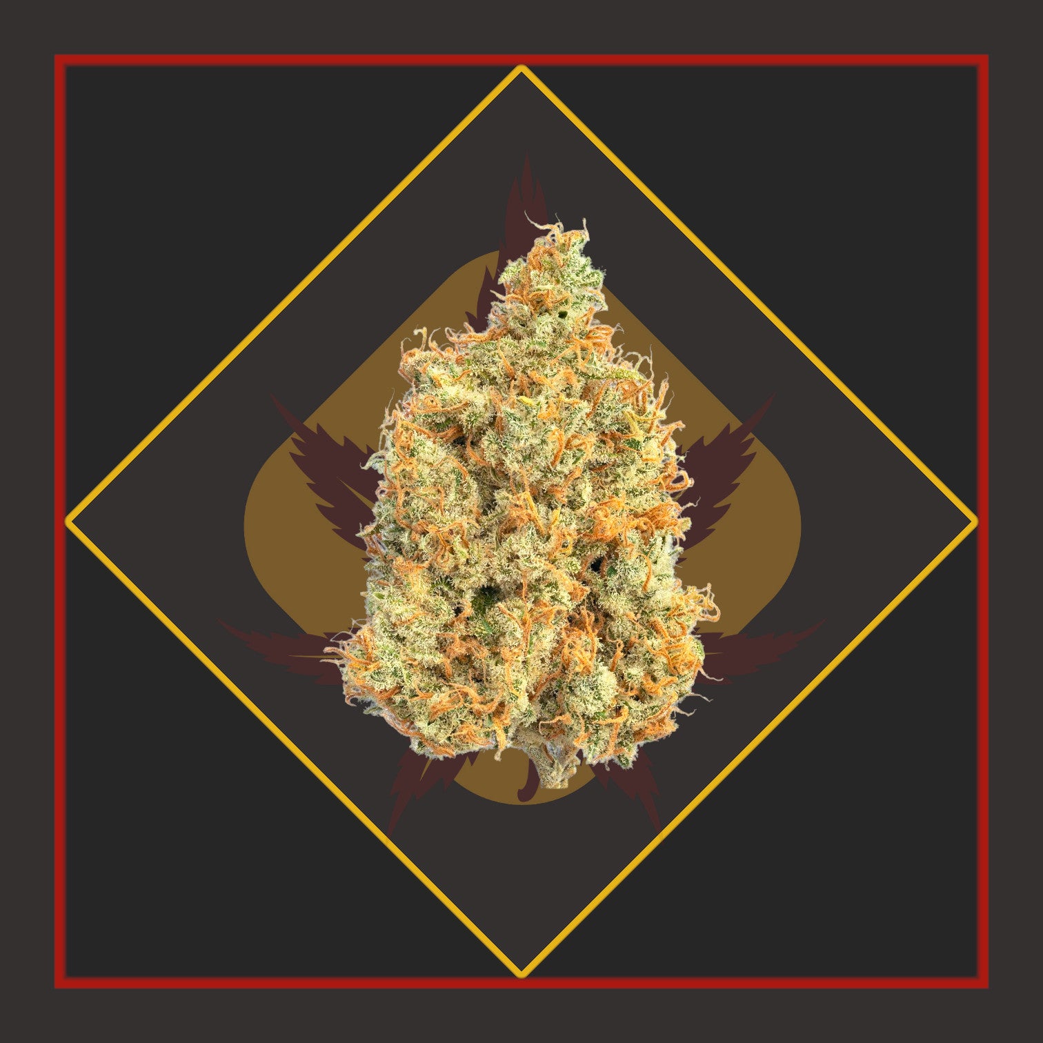 Flower - 1/8 for $25 & 1/4 for $45! - Mr. Clean - SATIVA *Zero Gravity Cannabis