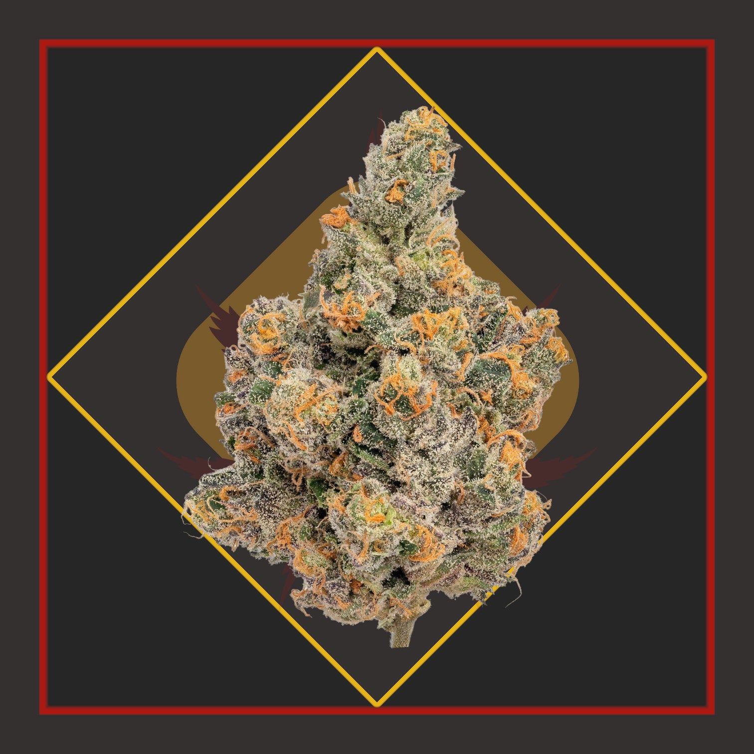 Flower - 1/8 for $25 & 1/4 for $45 - Vanilla Frosting - I/HYBRID *Zero Gravity Cannabis