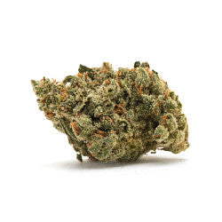 Cherry Vanilla Cheese (Ms. Universe X Exodus Cheeses) - SATIVA *Leaf Labs (1/8 for $25 & 1/4 for $45!)
