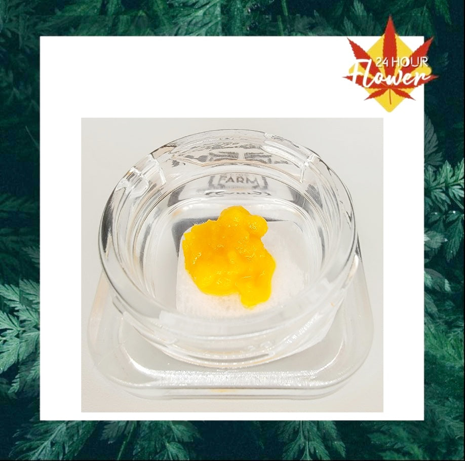 Mother's Mercy BADDER - INDICA *Hoot Family Farm